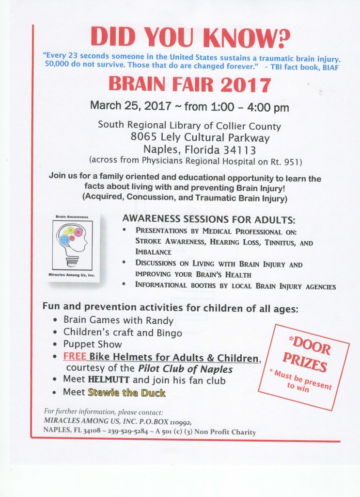 Brain Fair 2017 Flier